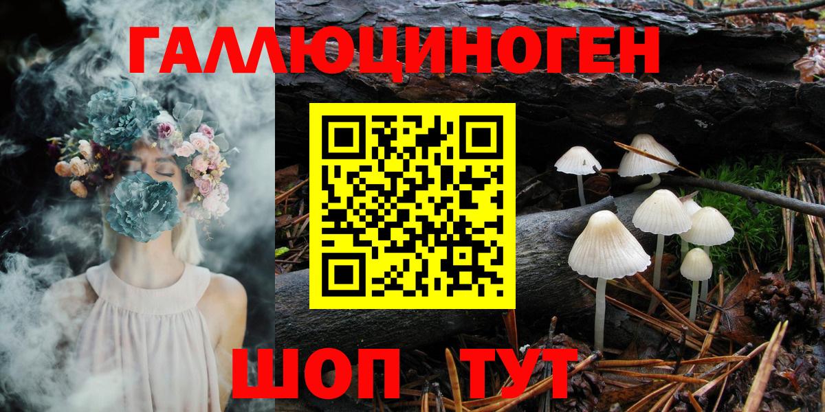 Псилоцибиновые грибы GOLDEN TEACHER  Псилоцибиновые грибы GOLDEN TEACHER  Дубна  Вход с VPN 